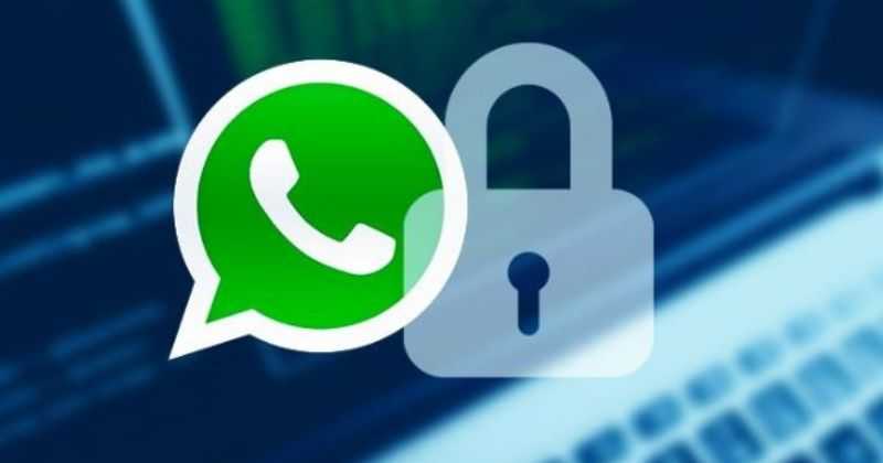 Tips to Stay Safe on WhatsApp